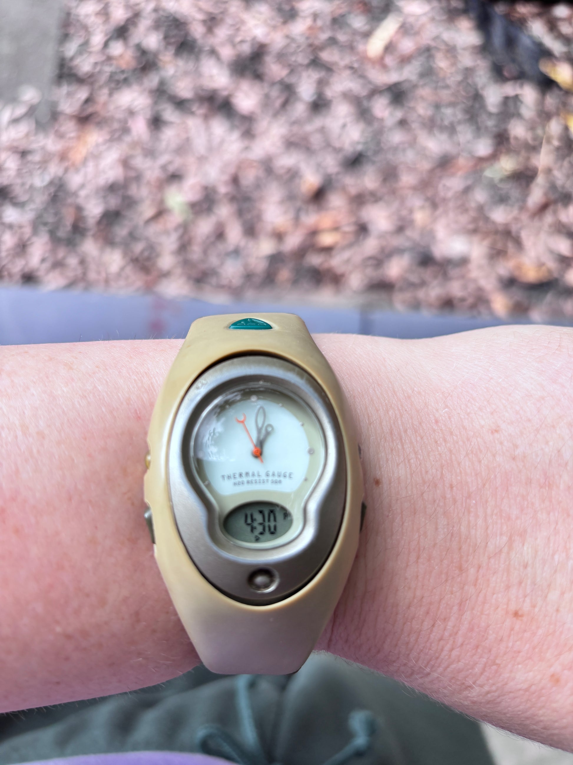 Vintage Y2K Nike ACG Thermal Gauge Watch OSFM Analogue Digital Working