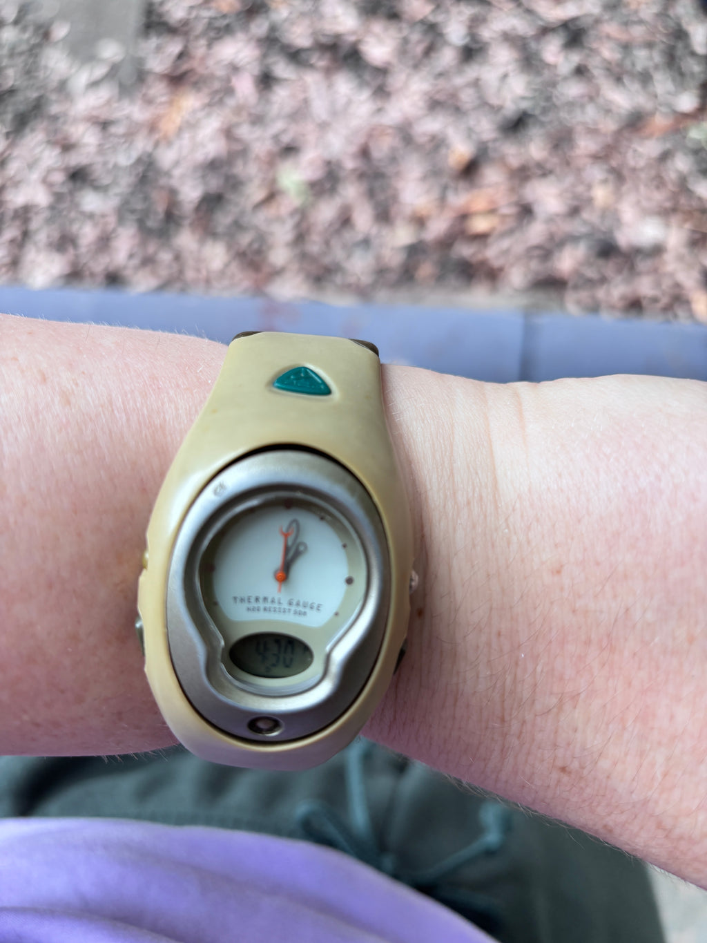 Vintage Y2K Nike ACG Thermal Gauge Watch OSFM Analogue Digital Working
