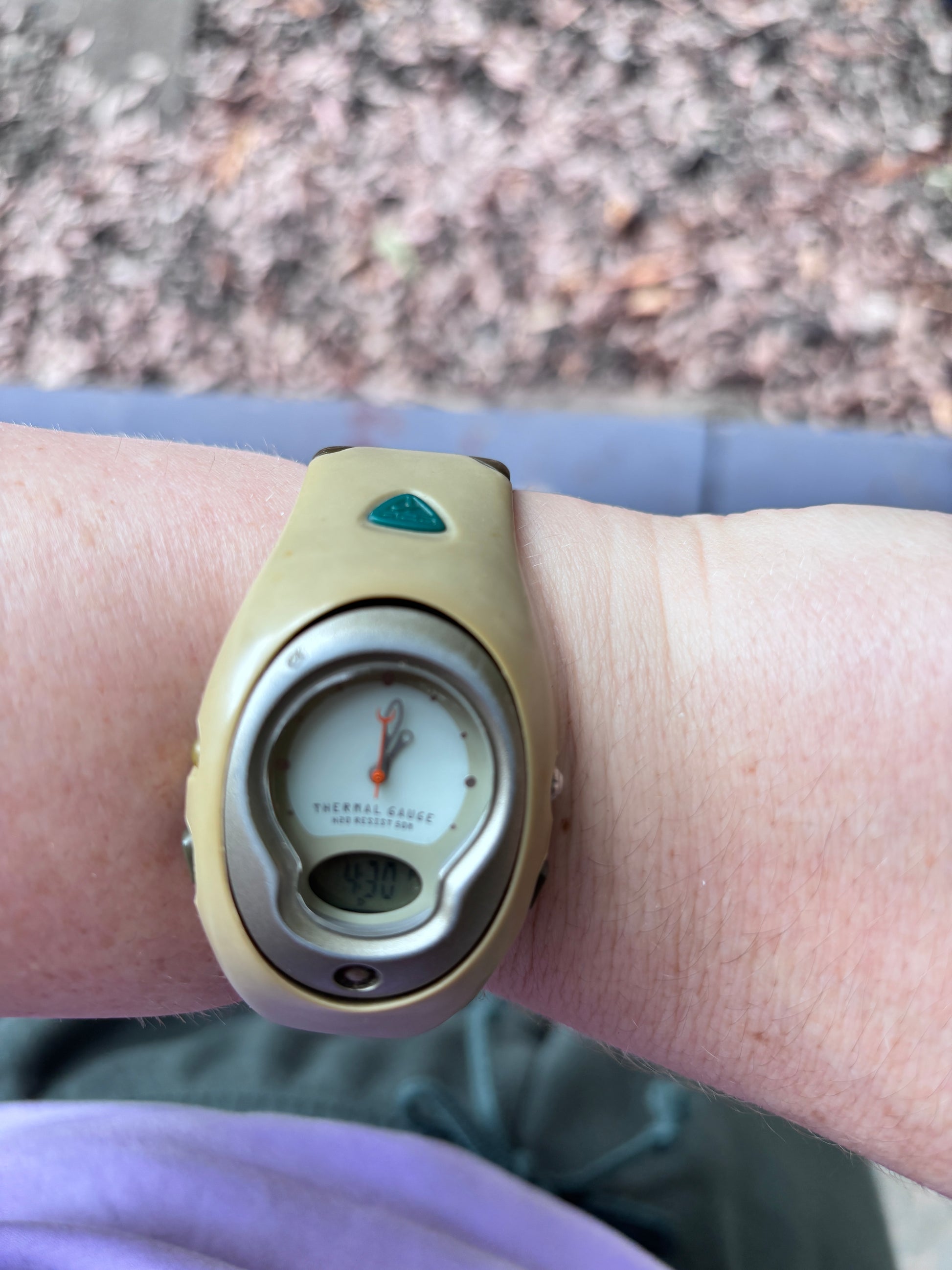 Vintage Y2K Nike ACG Thermal Gauge Watch OSFM Analogue Digital Working