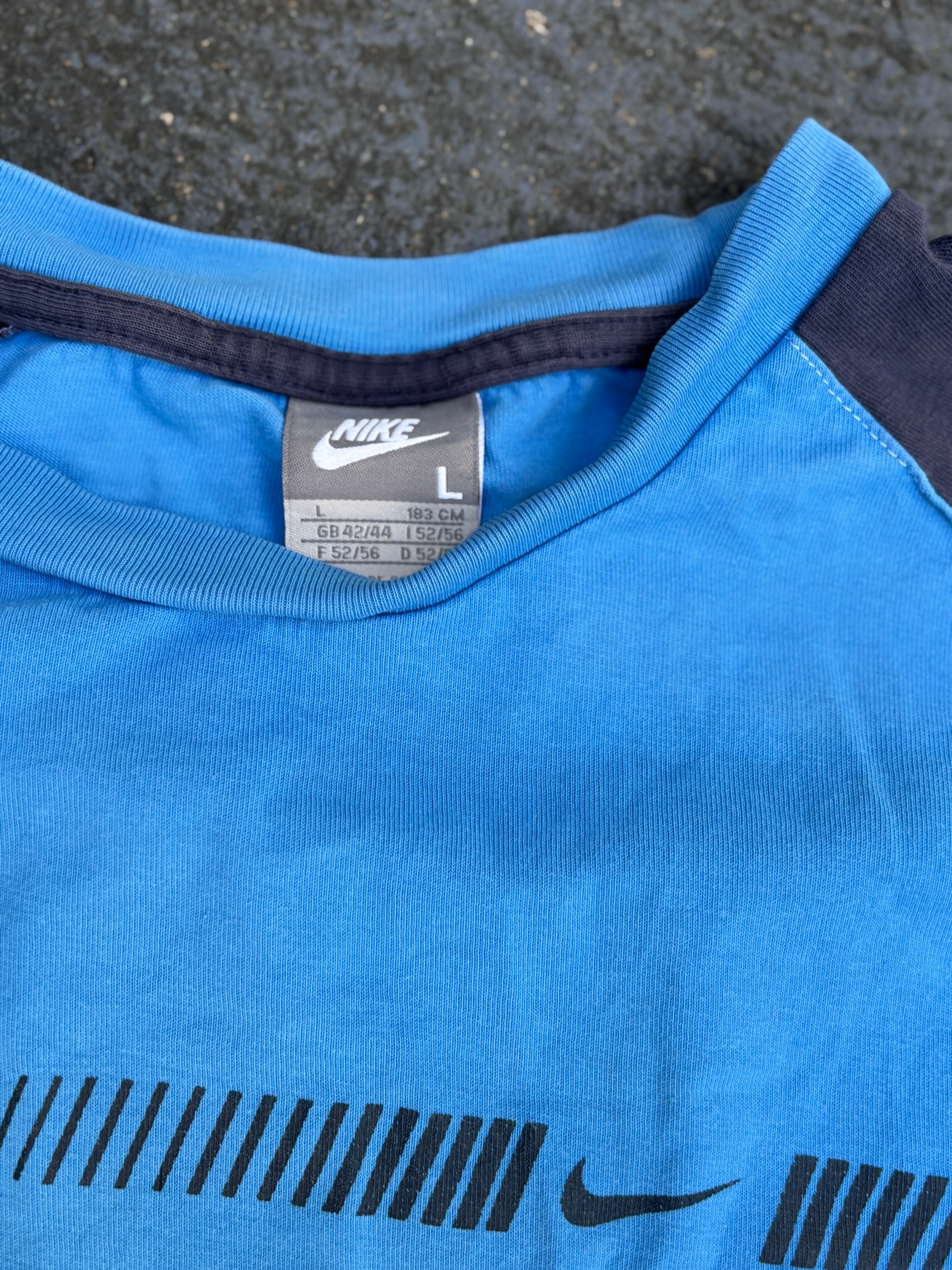 Vintage Y2K Nike T-Shirt Size L Blue Two-Tone Front Swoosh Graphic