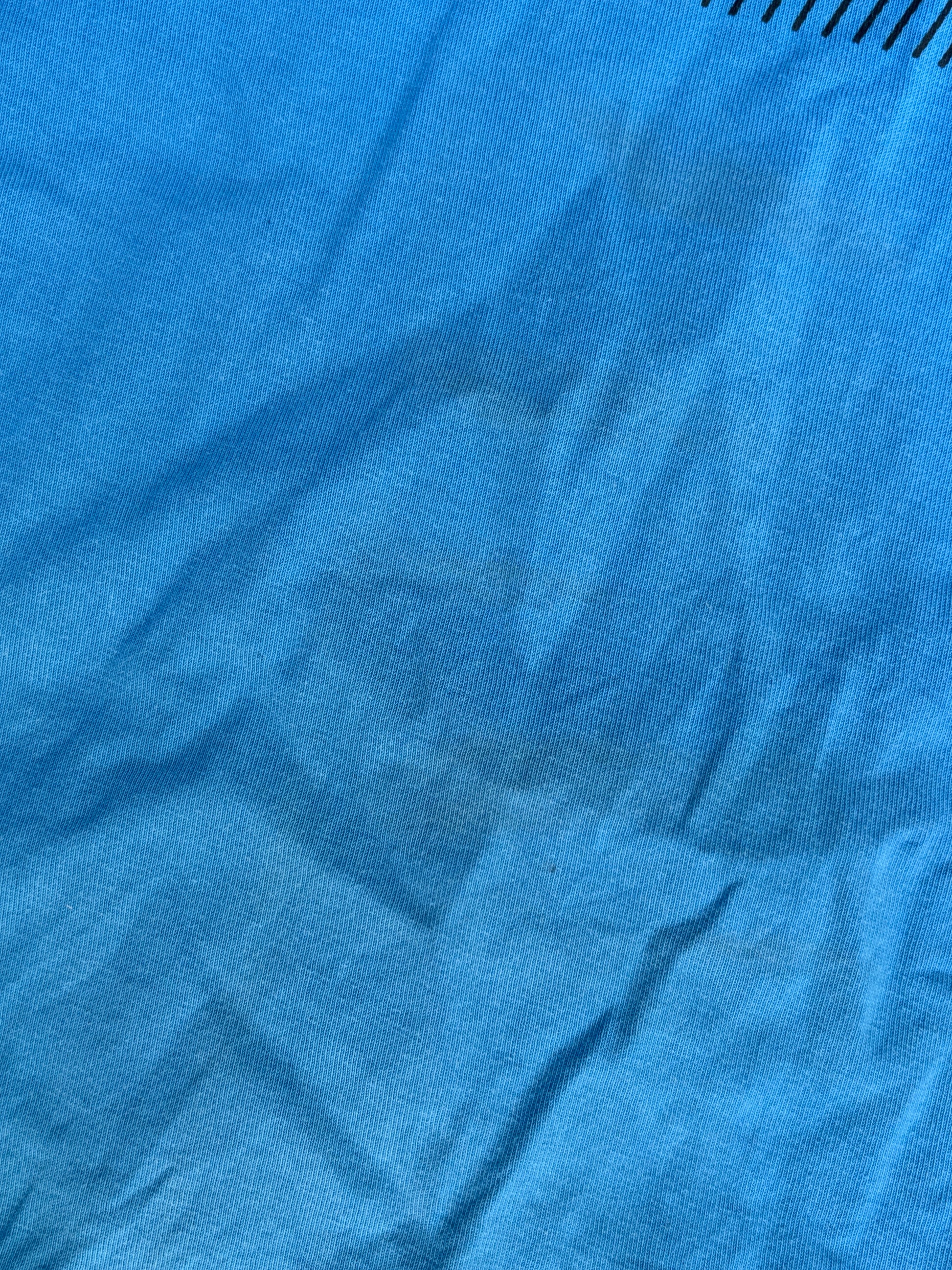 Vintage Y2K Nike T-Shirt Size L Blue Two-Tone Front Swoosh Graphic